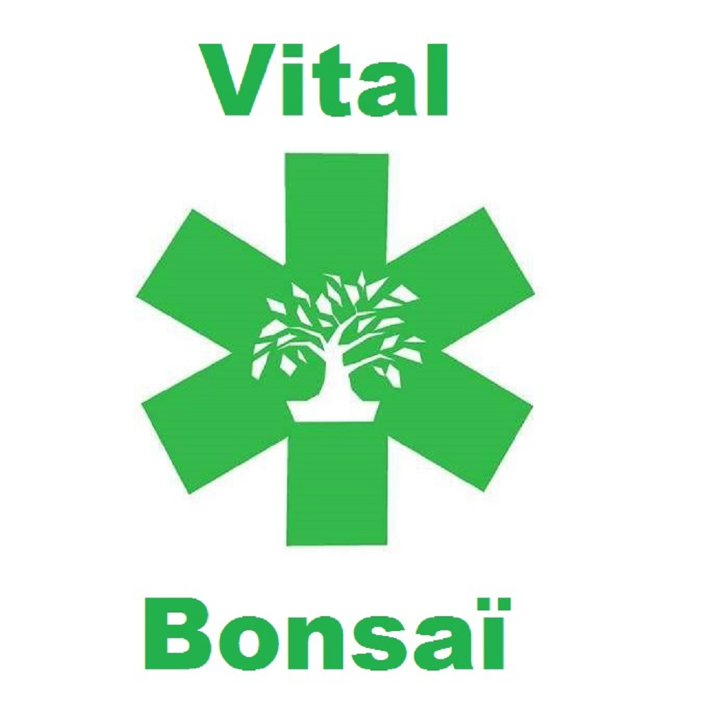 Bonsaï Vital