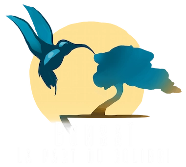 Bonsaï la part du Colibri